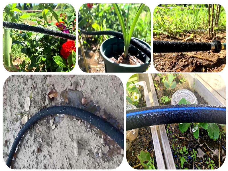 रेतीले मिट्टी की सिंचाई में नैनो सीपेज सिंचाई पाइप का अनुप्रयोग