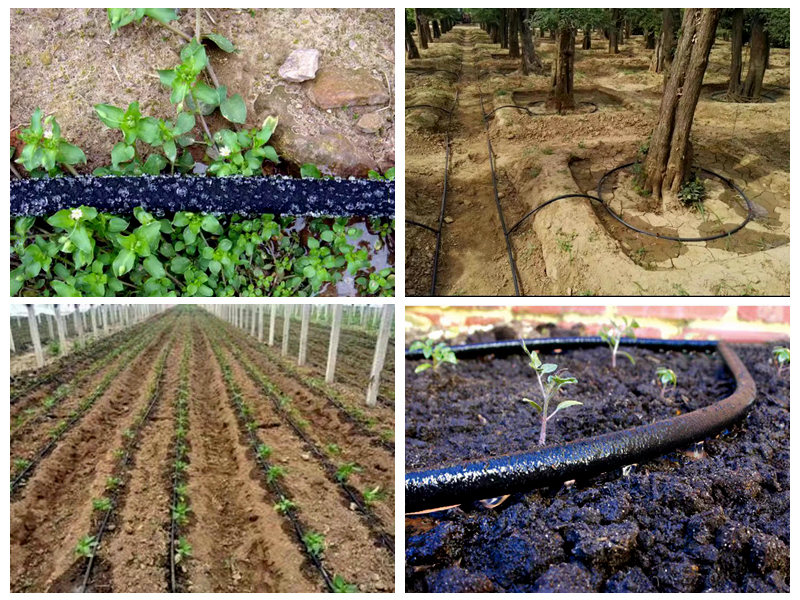 ​रबर नैनो-सिंचाई पाइपों के लिए बाजार की संभावनाएं क्या हैं?