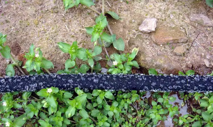 रबर की नली का उपयोग सोकर नली के रूप में क्यों किया जा सकता है?